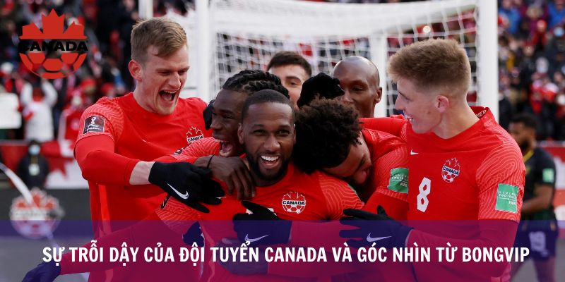 Sự Trỗi Dậy Của Đội Tuyển Canada Và Góc Nhìn Từ Bongvip